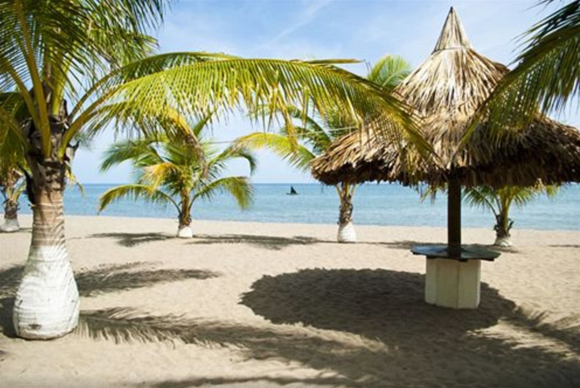 Hotel Quinta Real La Ceiba Eksteriør billede