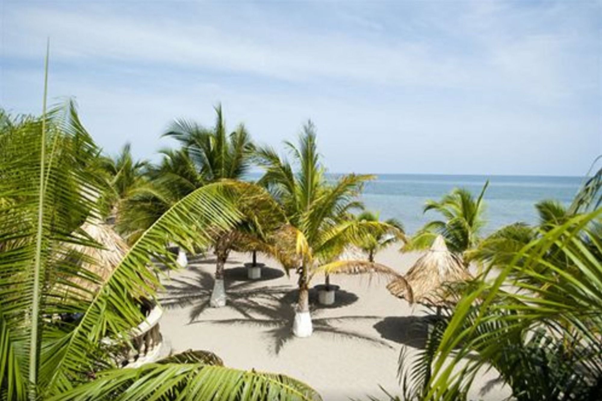 Hotel Quinta Real La Ceiba Eksteriør billede